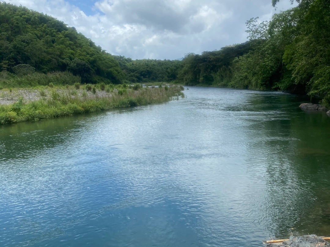 Portland Experience-Rio Grande Rafting Jamaica景点图片