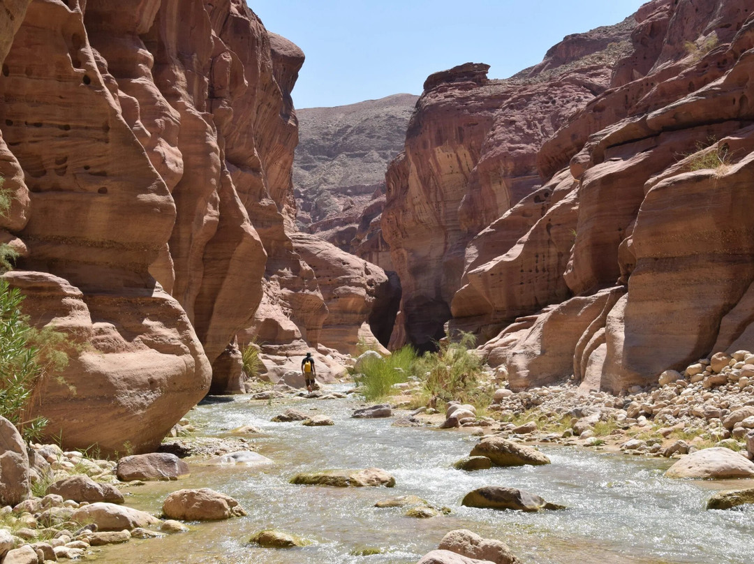 Wadi Al Hasa Hiking Tours-Safi必去景点