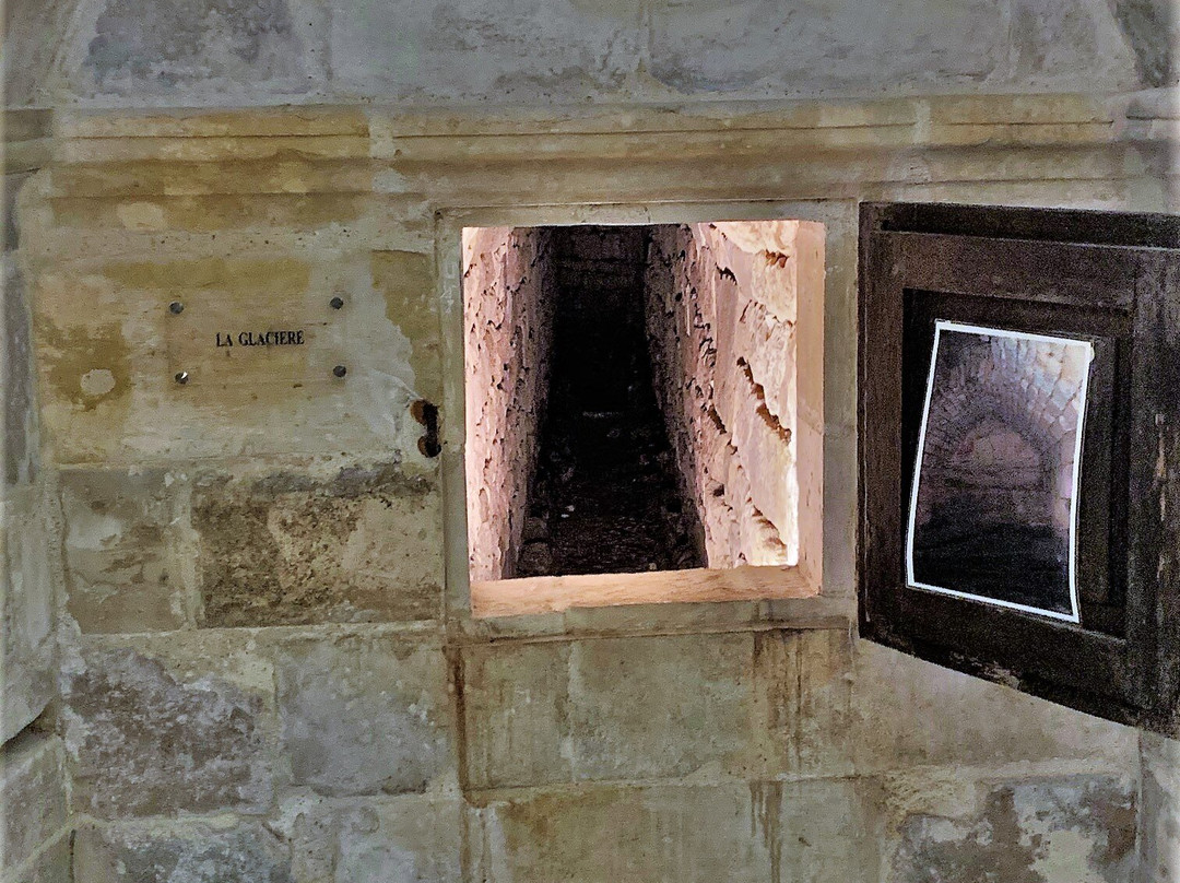 Château Renaissance de Coulonges-sur-l'Autize景点图片