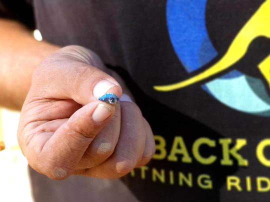 Outback Opal Tours-Lightning Ridge必去景点