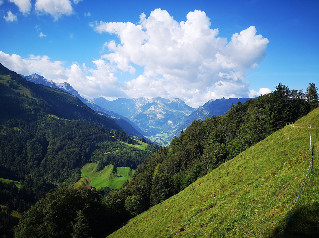 Buochserhorn-Oberdorf必去景点