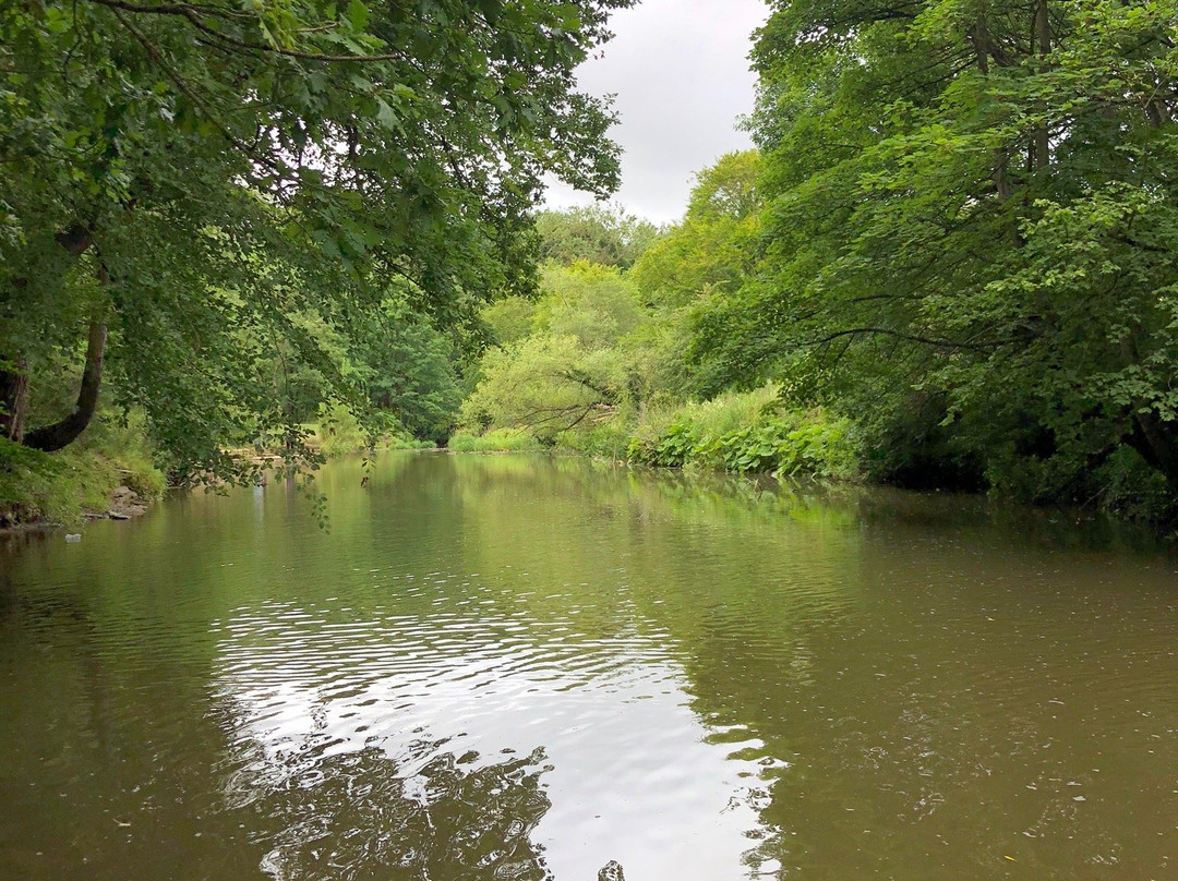 Plessey Woods Country Park-Bedlington必去景点