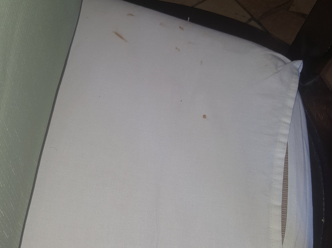 Szent Orban Erdei Hotel主图