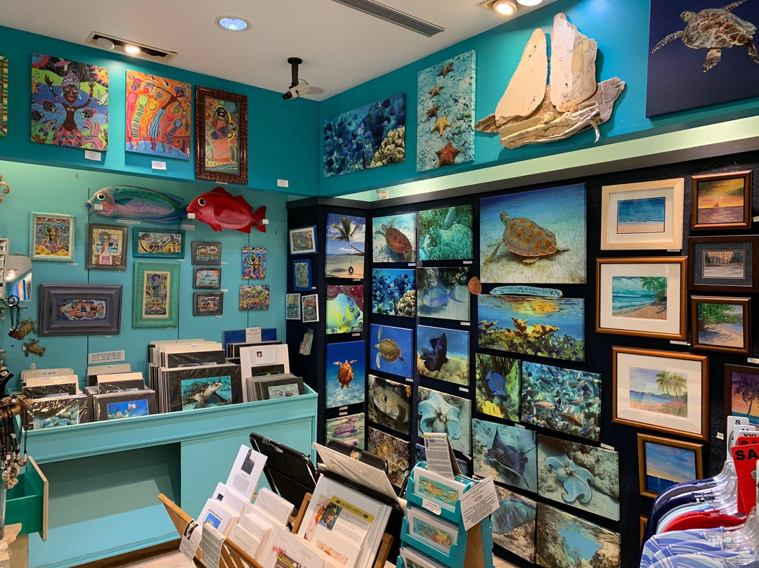 Fish Face-夏洛特阿马利亚必去景点