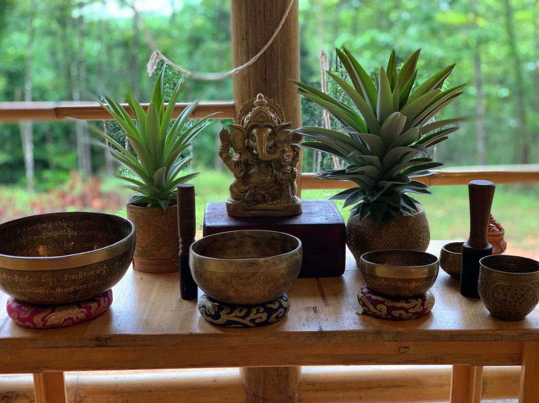 Khaosok Yoga-素叻他尼必去景点