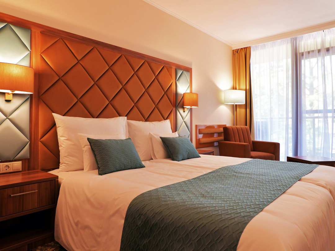 Wellness Hotel Gyula主图