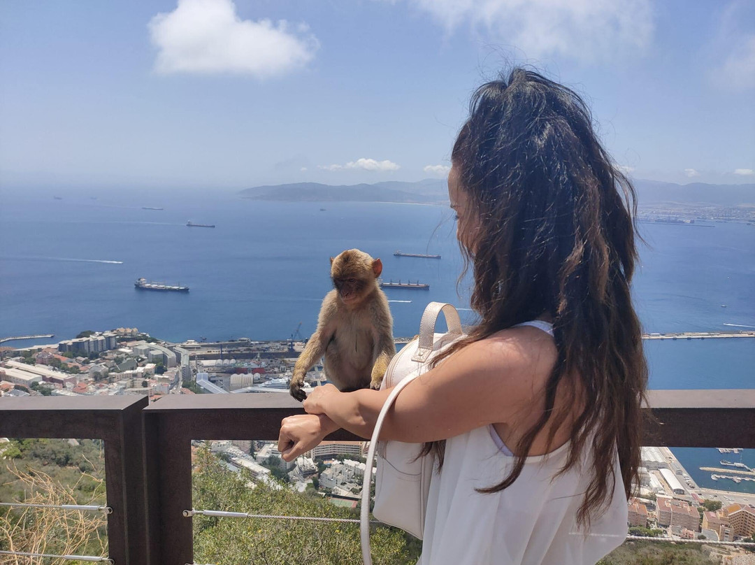 Gibraltar Sightseeing-Gibraltar Town必去景点