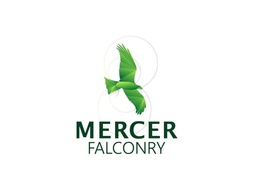 Mercer Falconry Raptor Park-Farnsfield必去景点