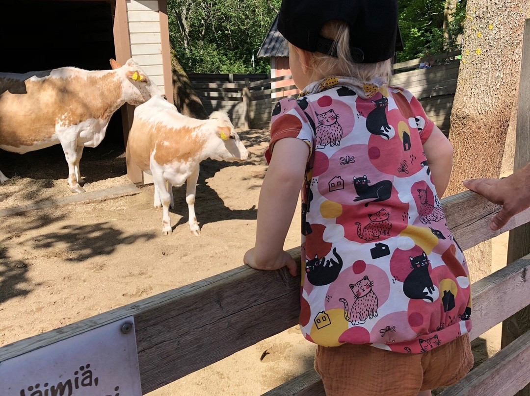 Sarkanniemi Theme Park-坦佩雷必去景点