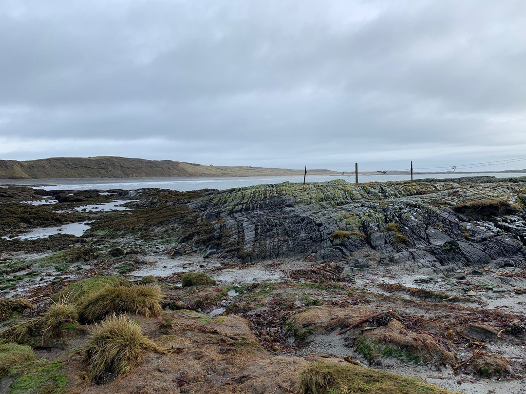 Ballyhornan Beach-Ardglass必去景点