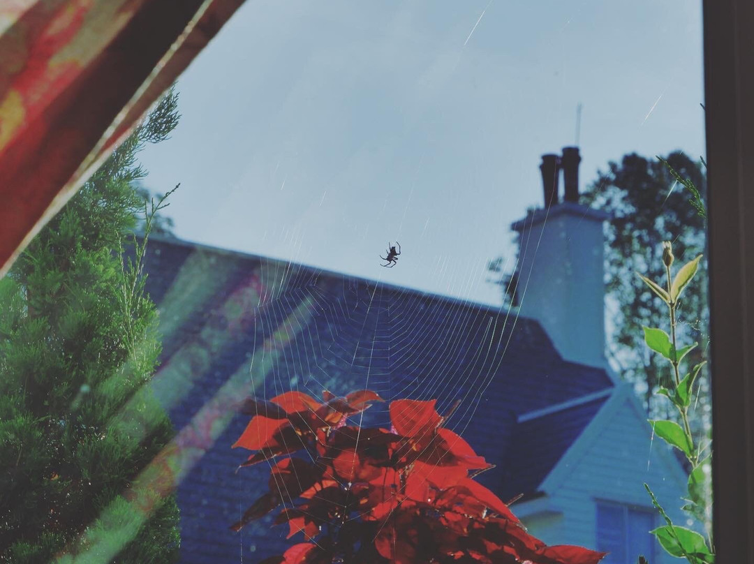 Hillsborough the English Country House主图