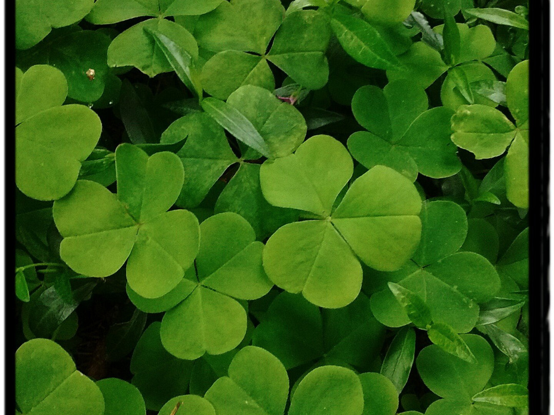Rainbow Trout Farm-Sandy必去景点