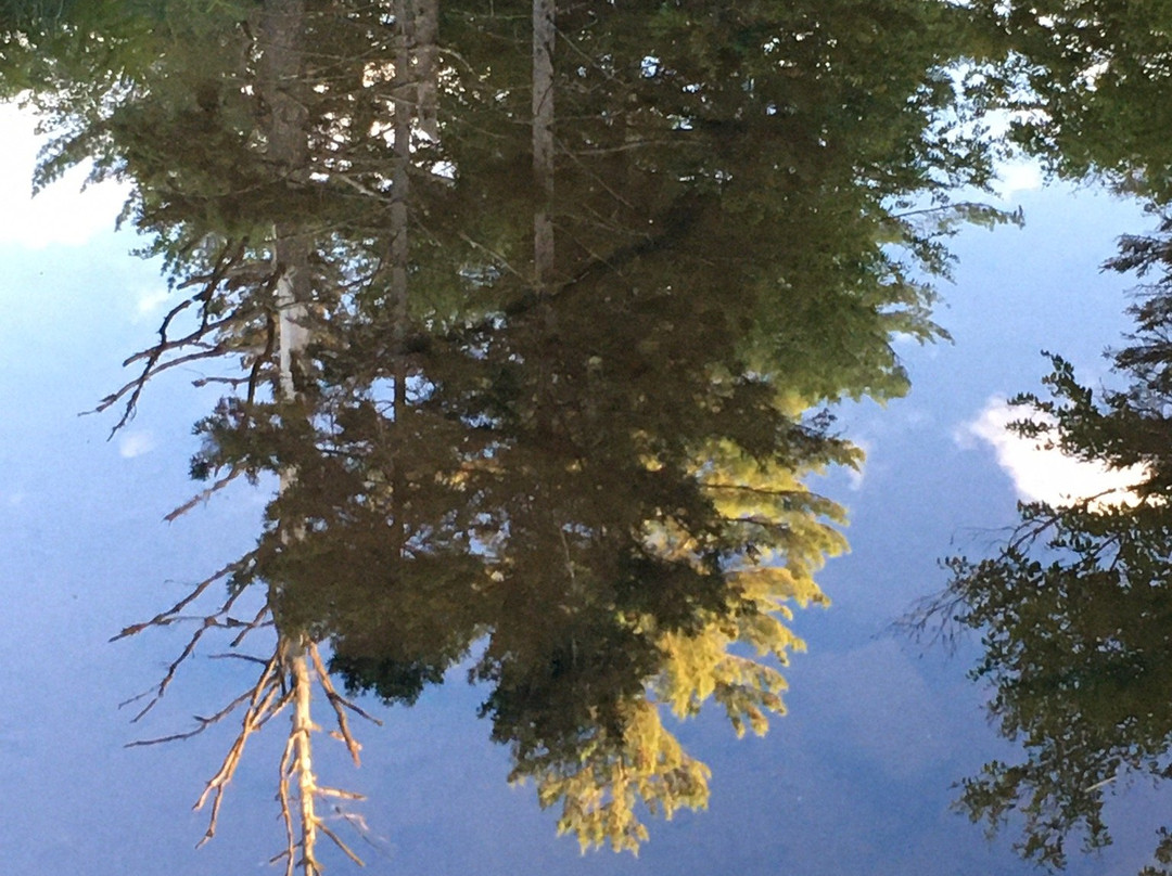 Bog River Falls景点图片