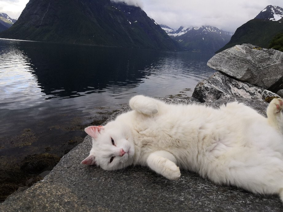 Hustadnes Fjordhytter