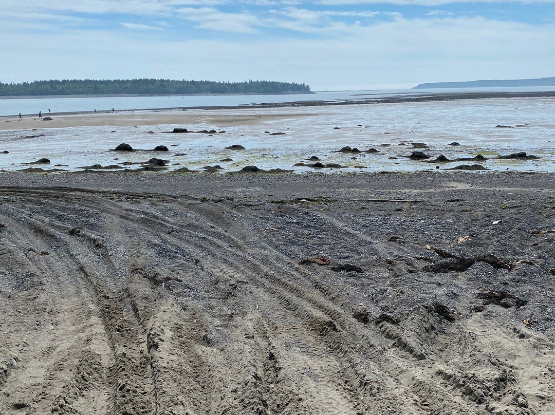 Mowry Beach Preserve景点图片