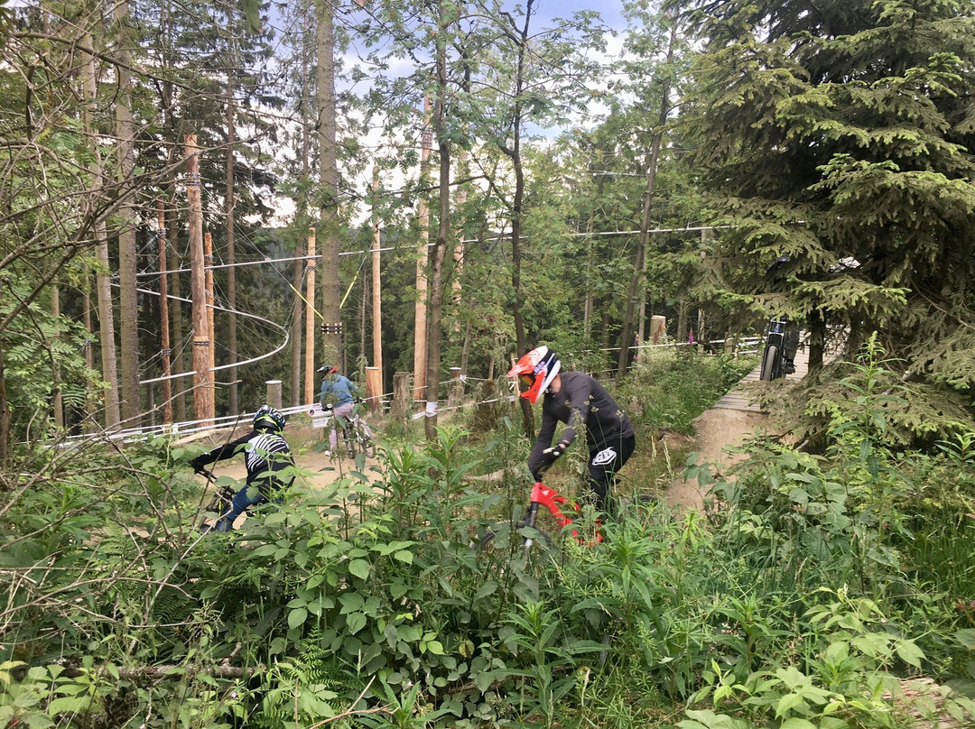 Bikepark Winterberg-Winterberg必去景点
