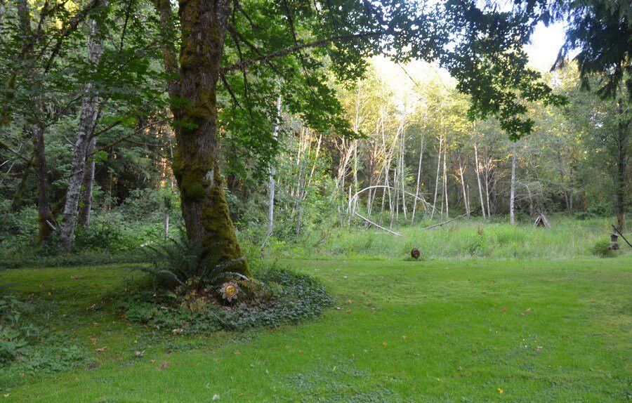 Mountain Meadows Inn主图