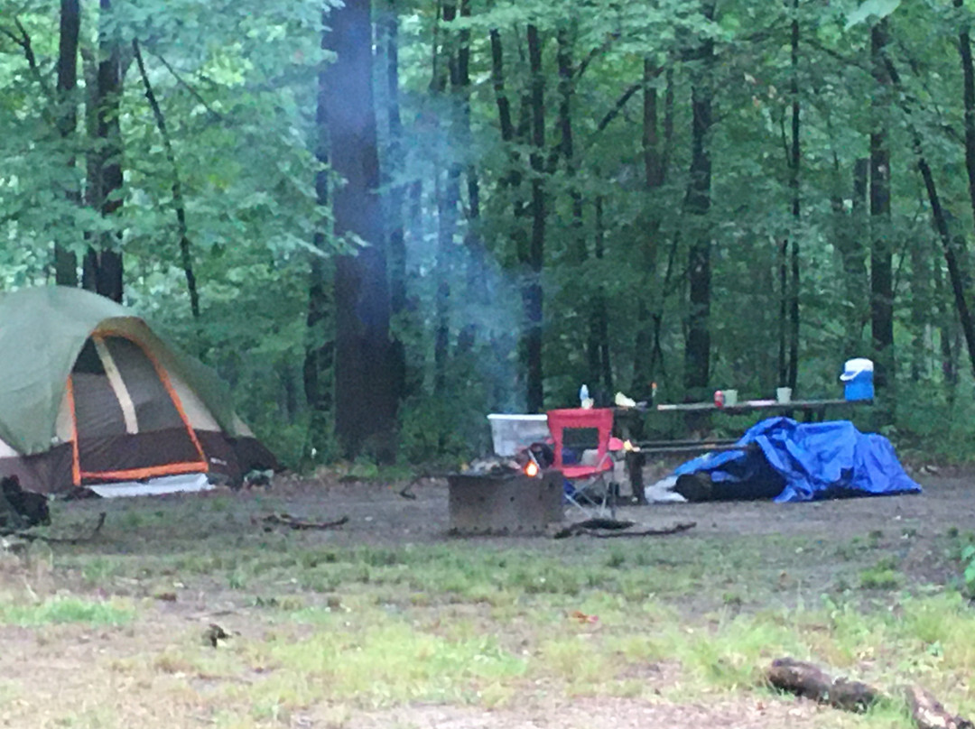 Mill Creek Camping
