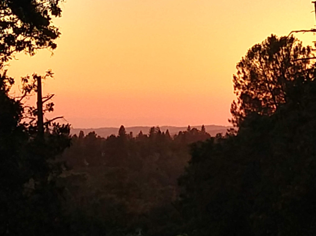 Ponderosa Ridge A Bed and Breakfast主图