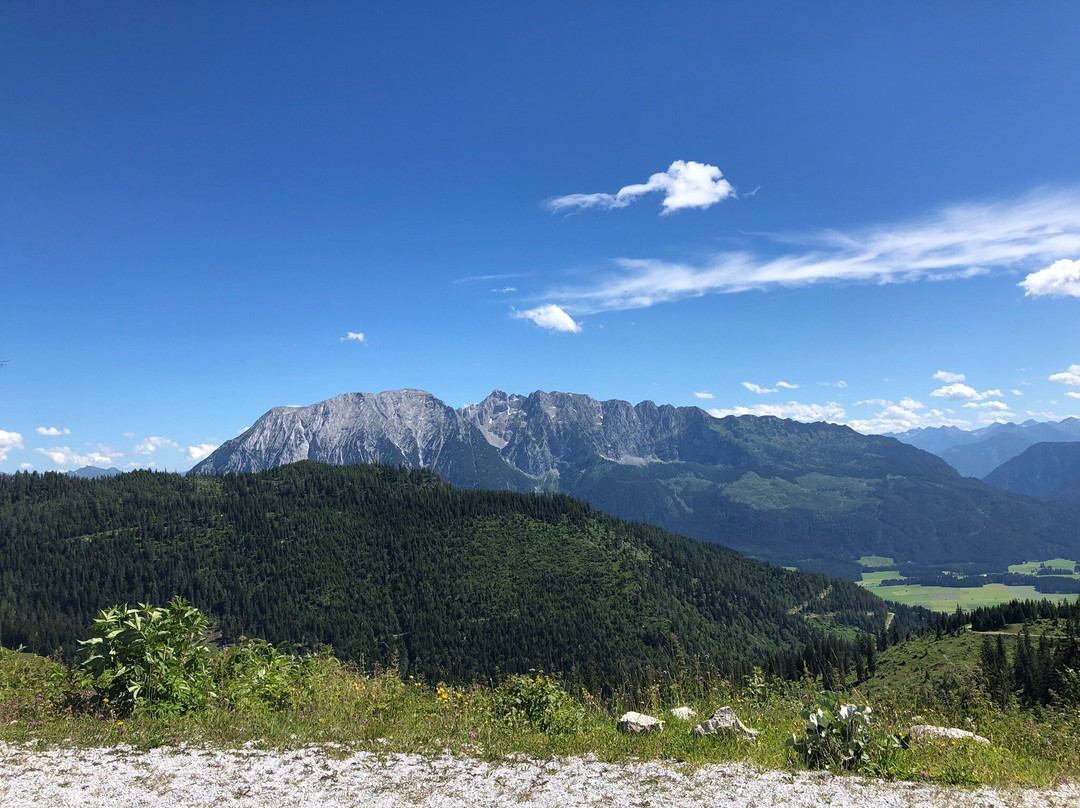 Tauplitzalm Alpenstrasse景点图片
