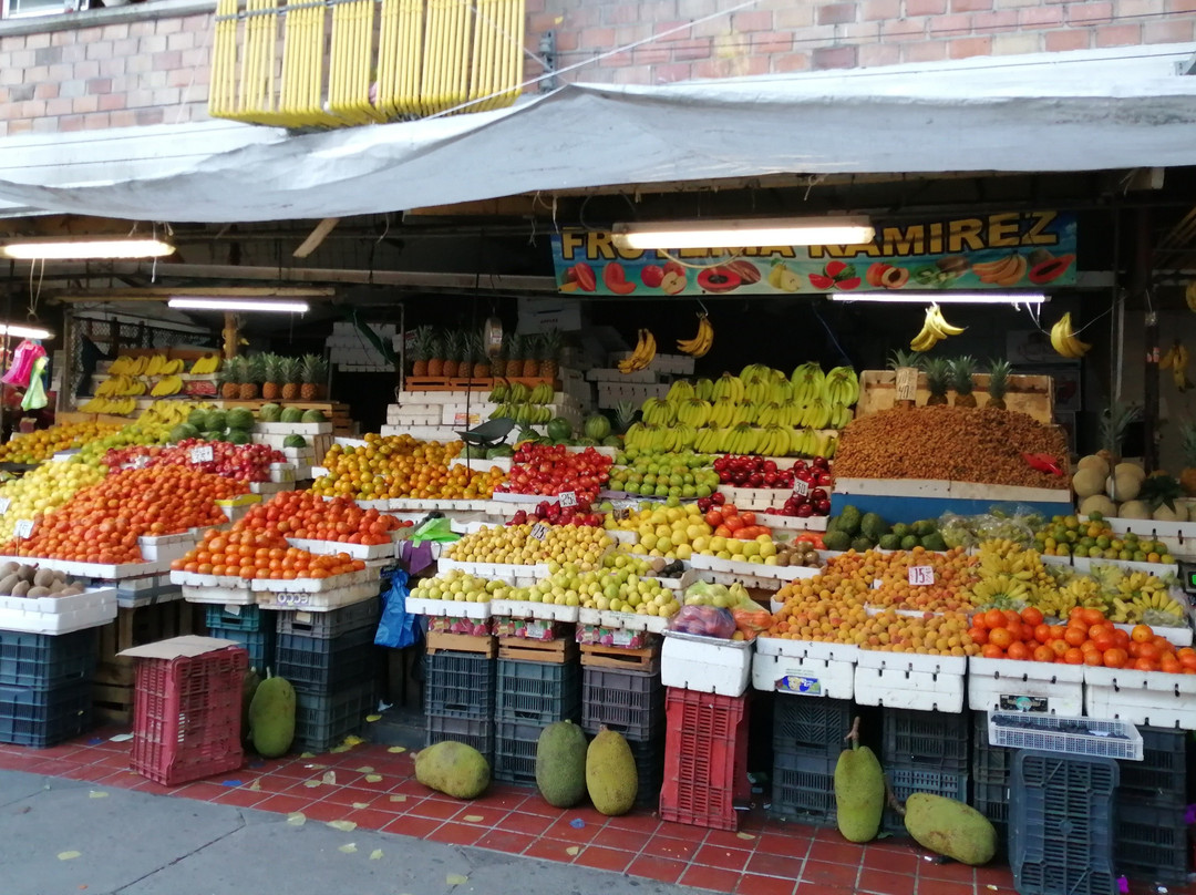GoPralia Guadalajara-瓜达拉哈拉必去景点