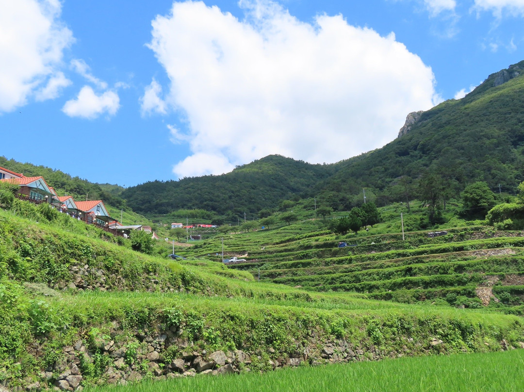 Daraengi Village景点图片