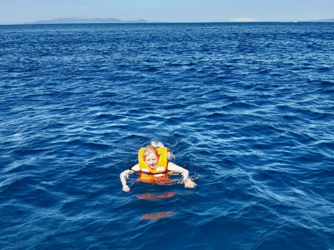Cala Violina Boat Tour景点图片