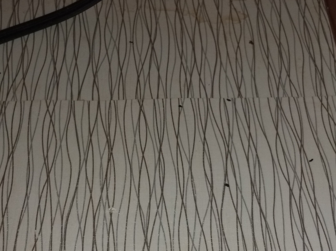 Hawthorn Suites by Wyndham Victorville主图