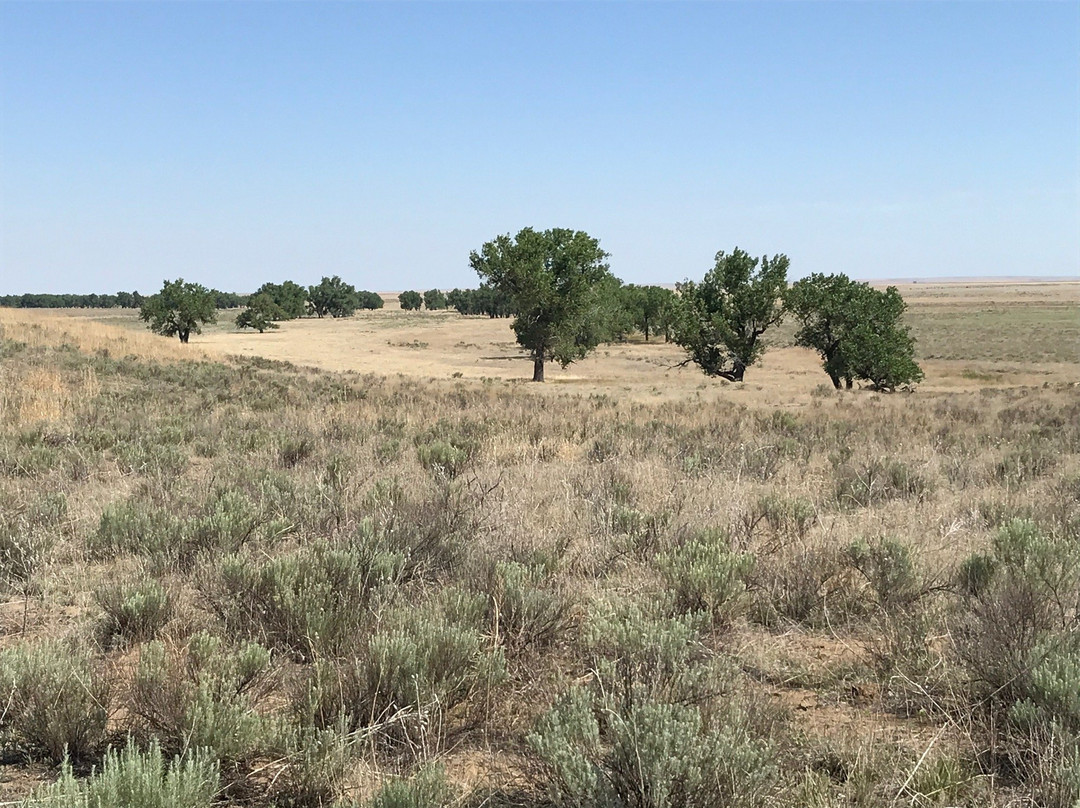Sand Creek Massacre National Historic Site-科罗拉多必去景点