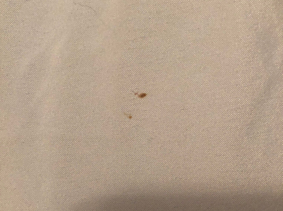 Anchor Inn and Suites主图