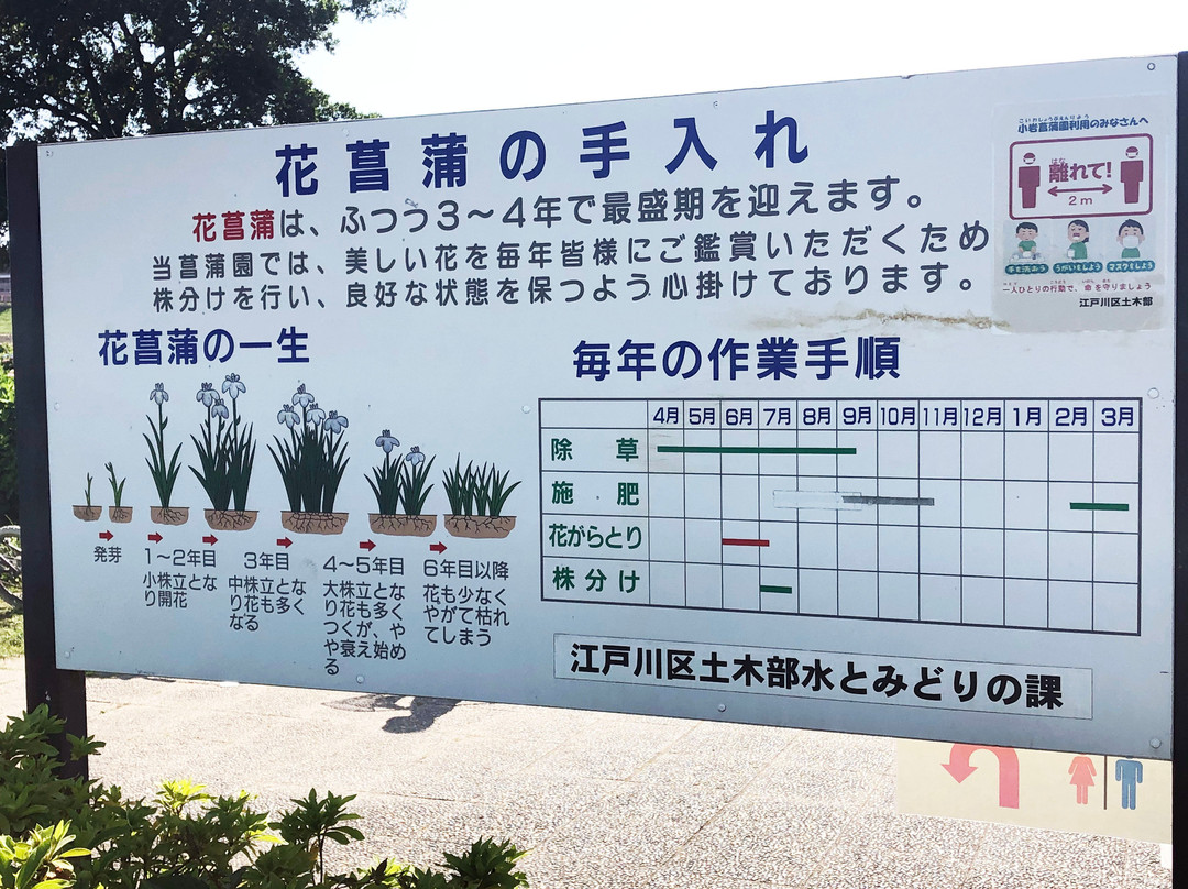 Kloiwa Shobu Garden-江戸川区必去景点
