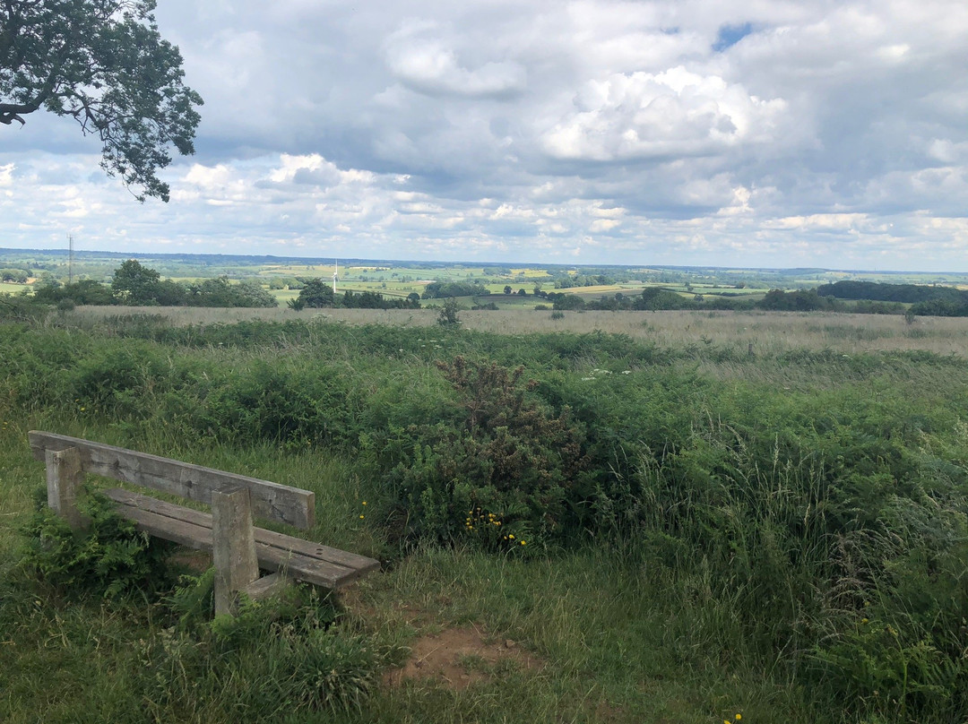 Borough Hill-达文特里必去景点