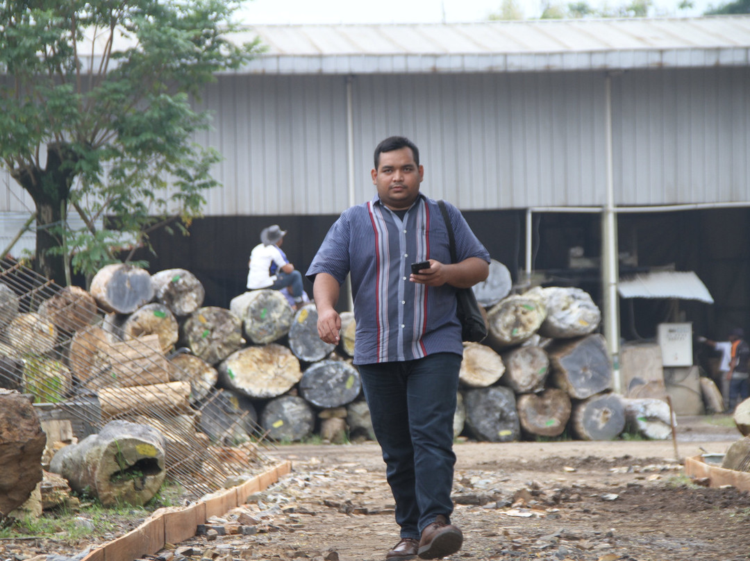 Petrified Wood Indonesia-茂物必去景点