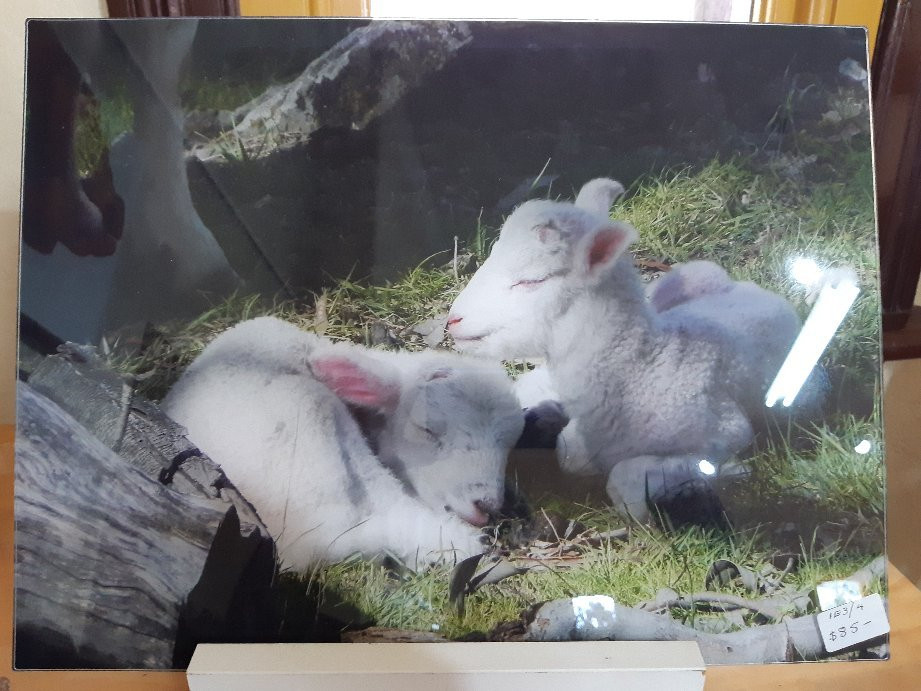 Art and Crafts Mudgee-马奇必去景点