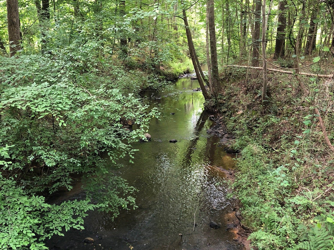 McDaniel Farm Park-杜鲁斯必去景点