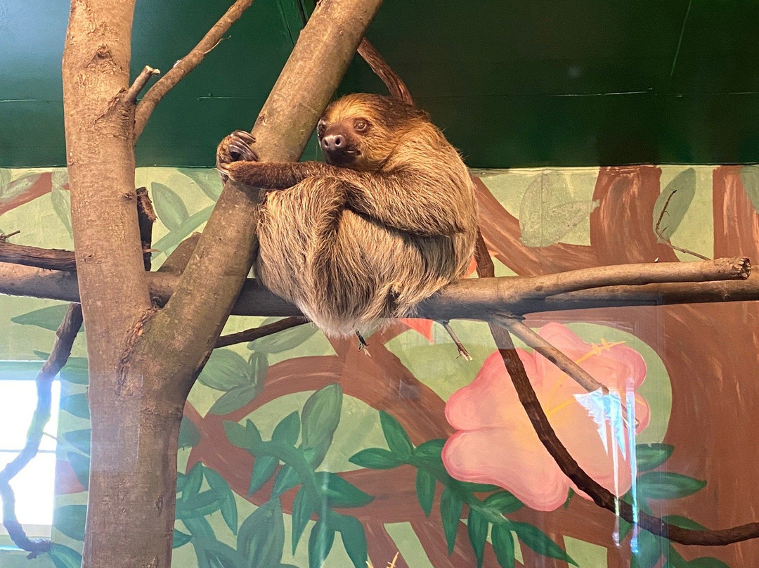 Summerfield Farm and Zoo-Belvidere必去景点