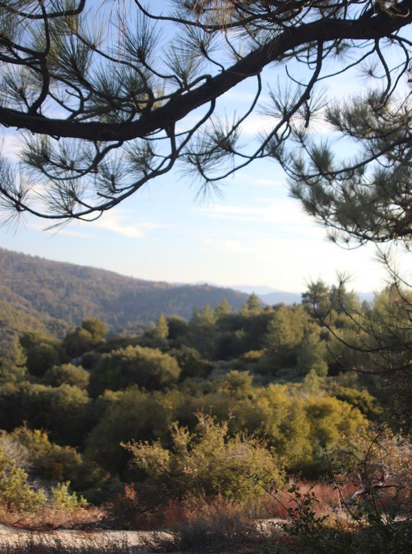 Indian Vista Scenic Overlook-Idyllwild必去景点