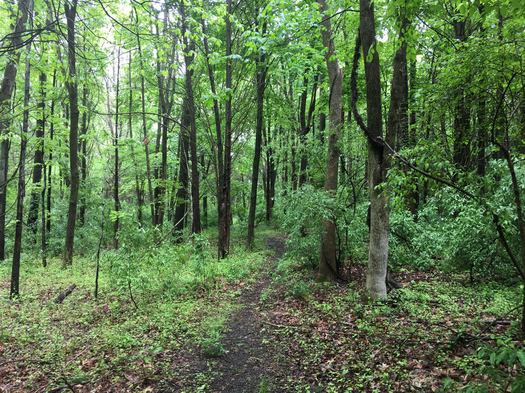 Crosswicks Creek Park景点图片