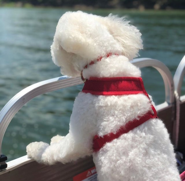 Indian Point Marina-布兰森必去景点