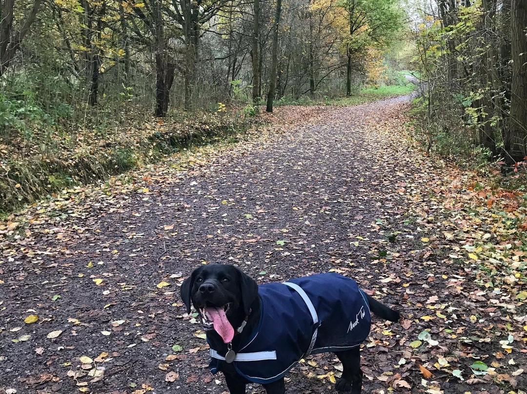 Sett Valley Trail-New Mills必去景点