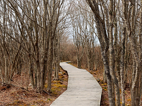 Chapel Gully Trail-Canso必去景点