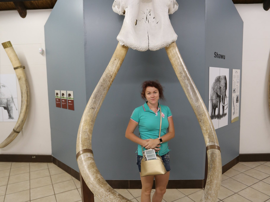 Letaba Elephant Hall景点图片