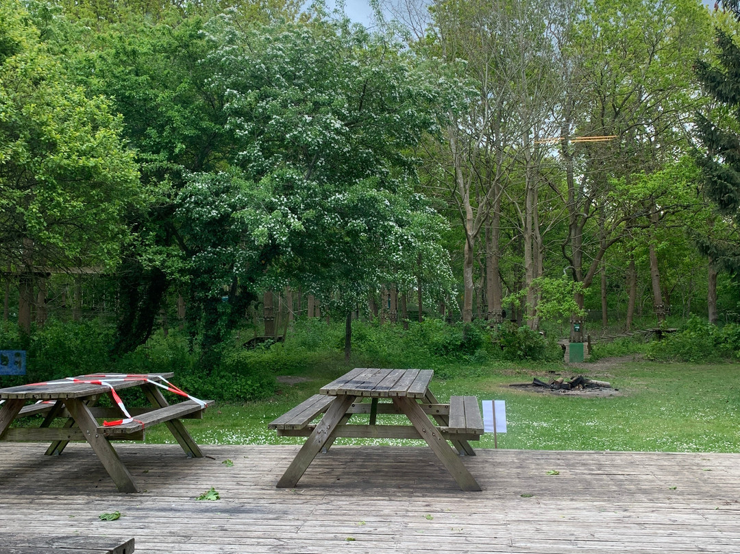 Funky Monkey Park-欧登塞必去景点