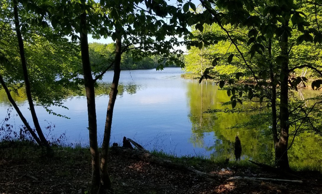 Bull Run - Occoquan Trail景点图片