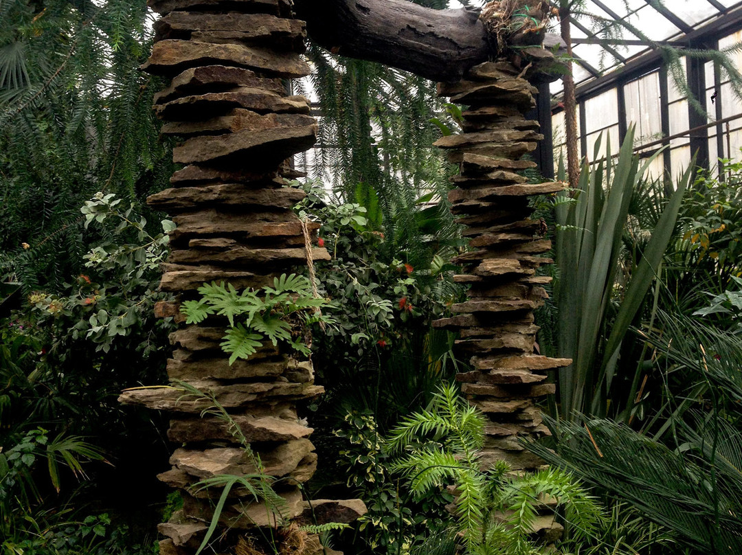 NII Botanical Garden-下诺夫哥罗德必去景点