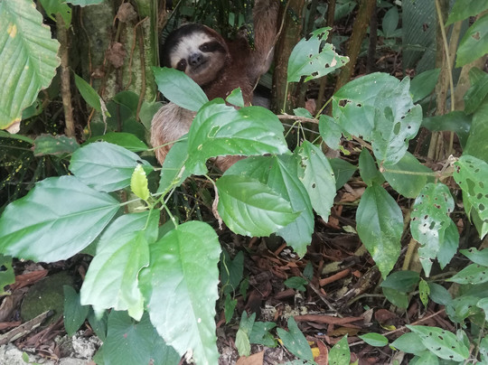 Agencia de Viajes y Transportes Taz&Mia Adventure Tours