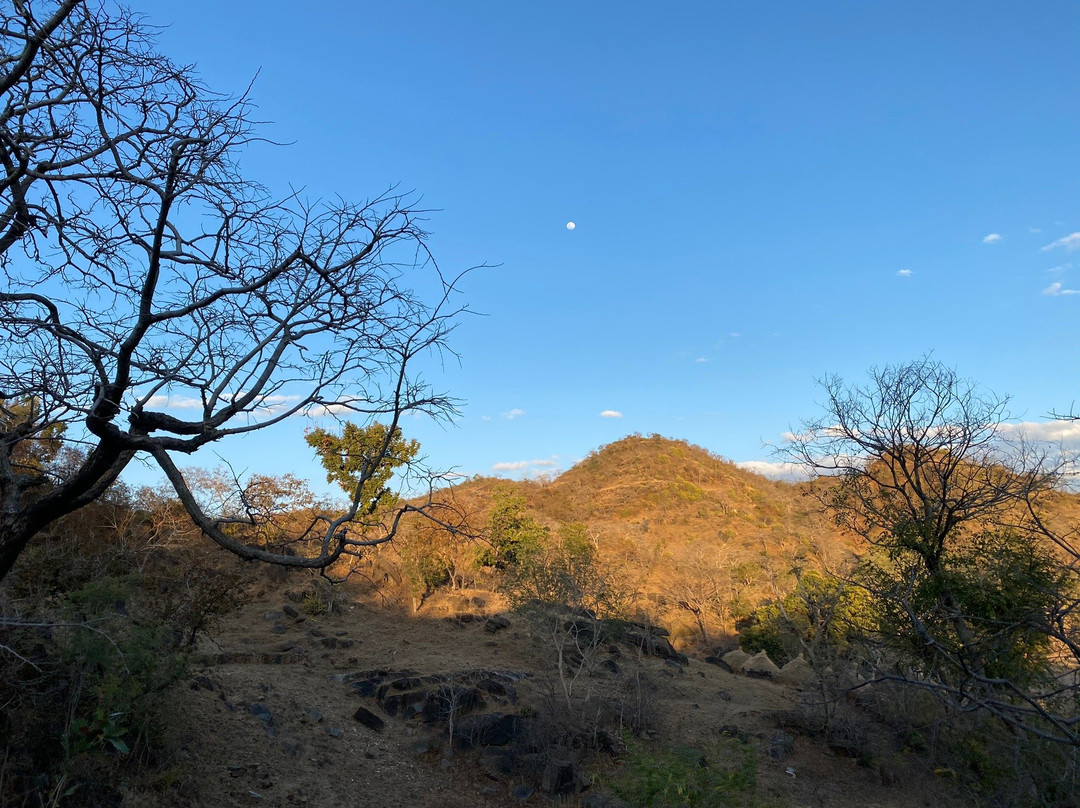 Kumbhalgarh Wildlife Sanctuary-乌代布尔必去景点