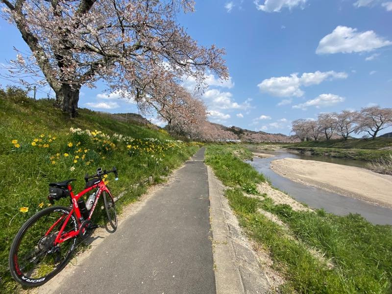 Natsui Sembong Sakura-小野町必去景点