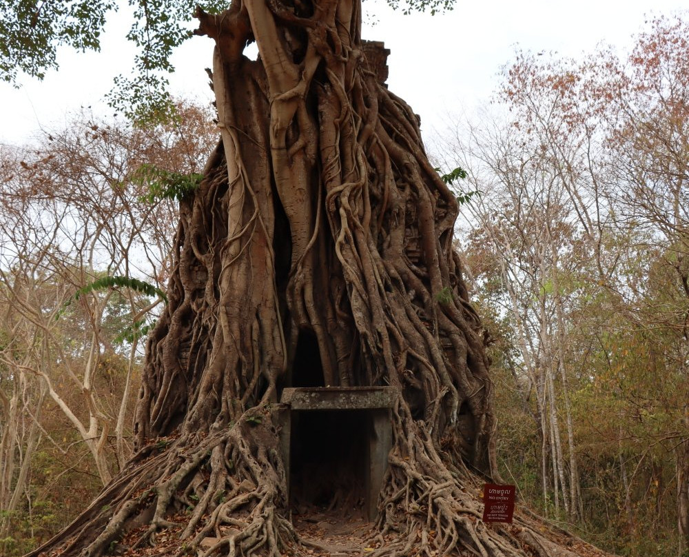 Daem Chrei Temple-磅同必去景点