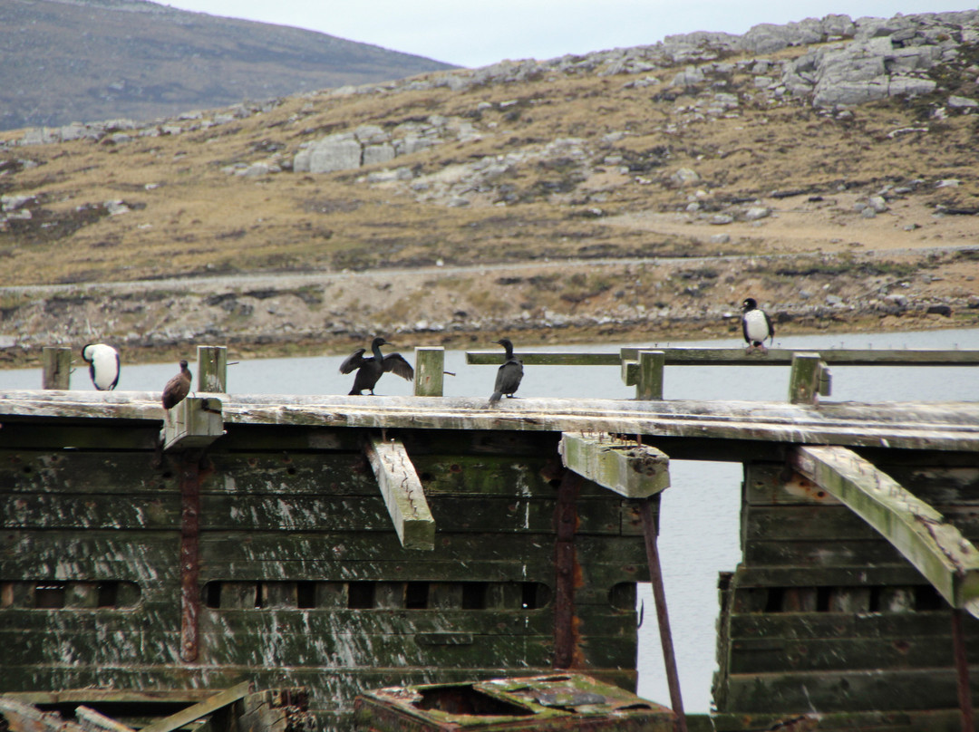 Jhelum Shipwreck-Stanley必去景点